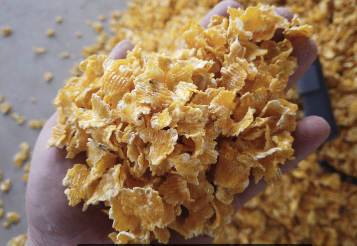 How to use the flaked corn machines at farm?