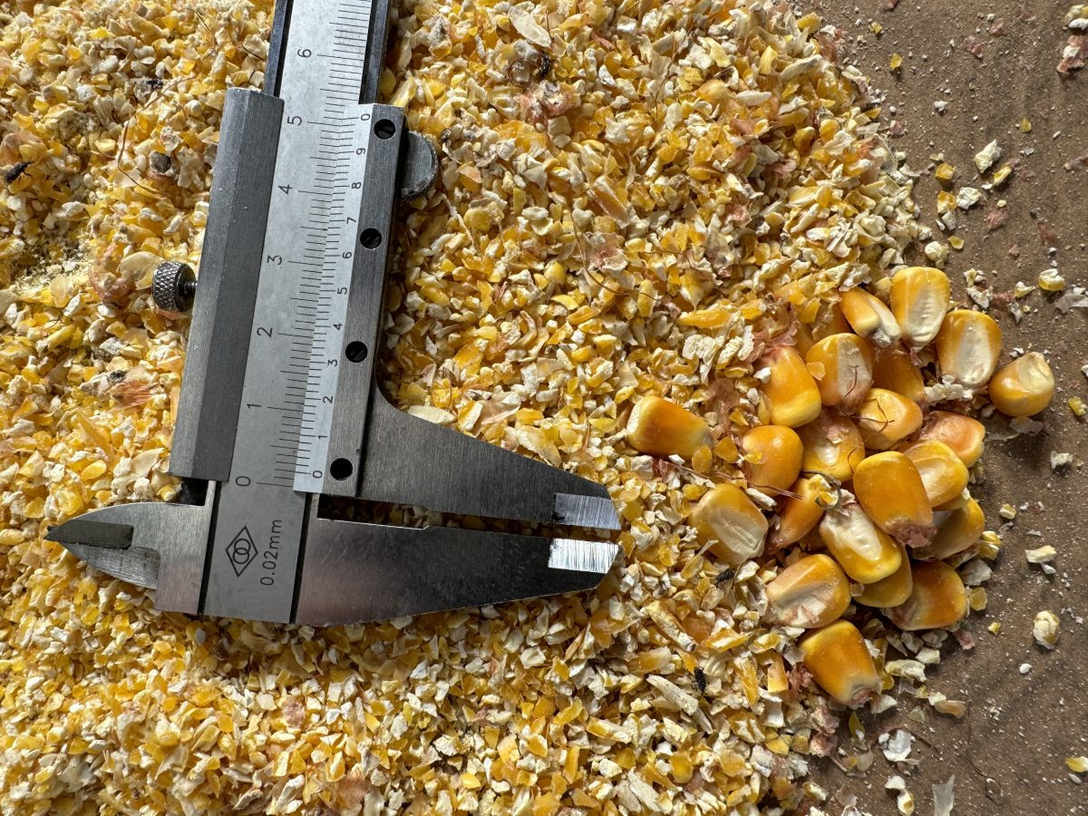 How Flaking Mills Are Transforming Livestock Feed Processing for Modern Farming