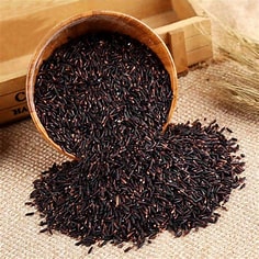 Flaking Machine Pioneer Bellaex Showcases Advanced Technology in Seed Processing